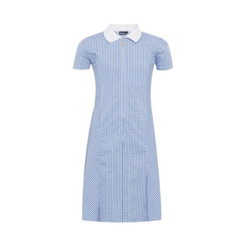 BLUE GINGHAM SUMMER DRESS