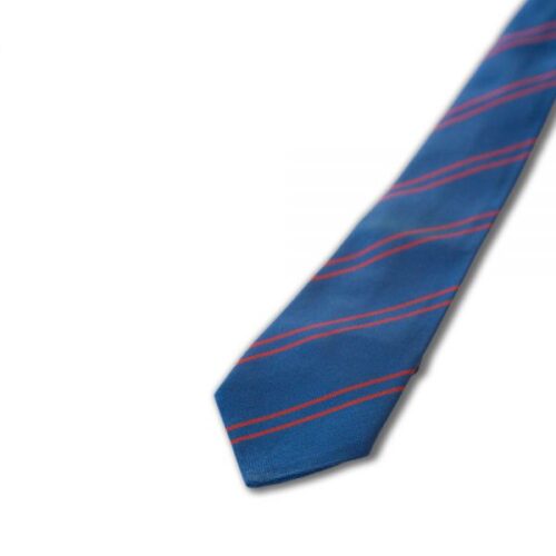 ST PAUL'S CP TIE