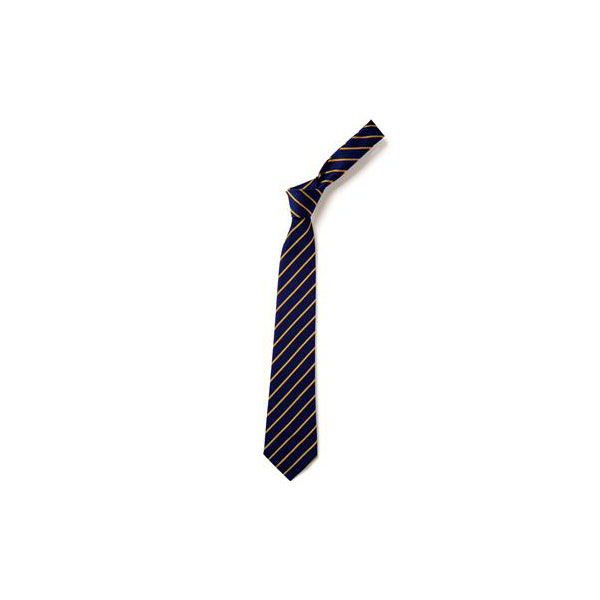 CLEVES SCHOOL TIE