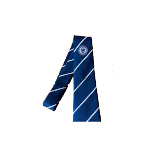 DONHEAD SCHOOL TIE YEAR 6 (ELEMENTS)