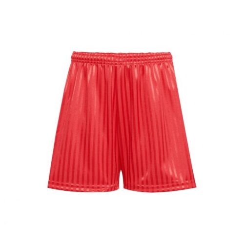SHADOW STRIPE SHORTS