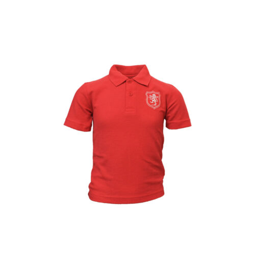 SHREWSBURY HOUSE YOUNGER YEARS POLO