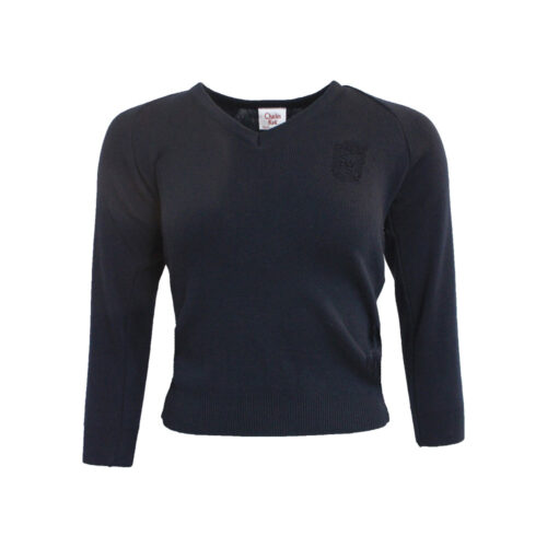 SIR WILLIAM PERKINS'S JUMPER