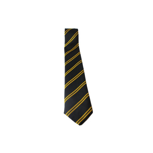 HAMPTON SCHOOL TIE 1ST & 2ND YEARS