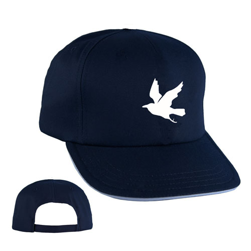 DANES HILL BASEBALL CAP