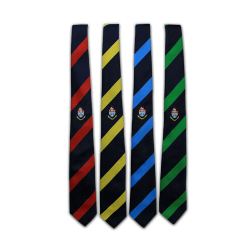 HALLIFORD SCHOOL TIE (YR 11)