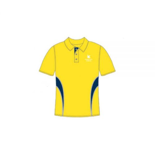 DANES HILL HOUSE POLO VIKING Y1-8