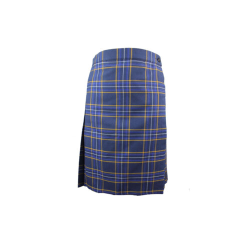 SIR WILLIAM PERKINS'S SKIRT