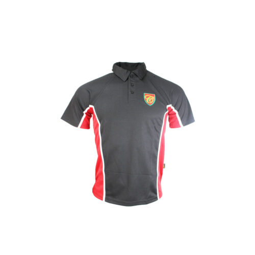 COBHAM FREE BOYS SPORTS POLO
