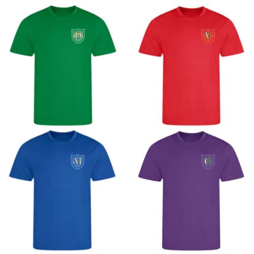PARKSIDE SCHOOL HOUSE T-SHIRT