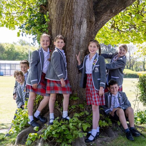 Prep (Year 3 - Year 6)