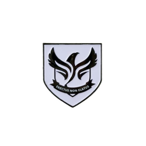 DURLSTON SENIOR PIN BADGE