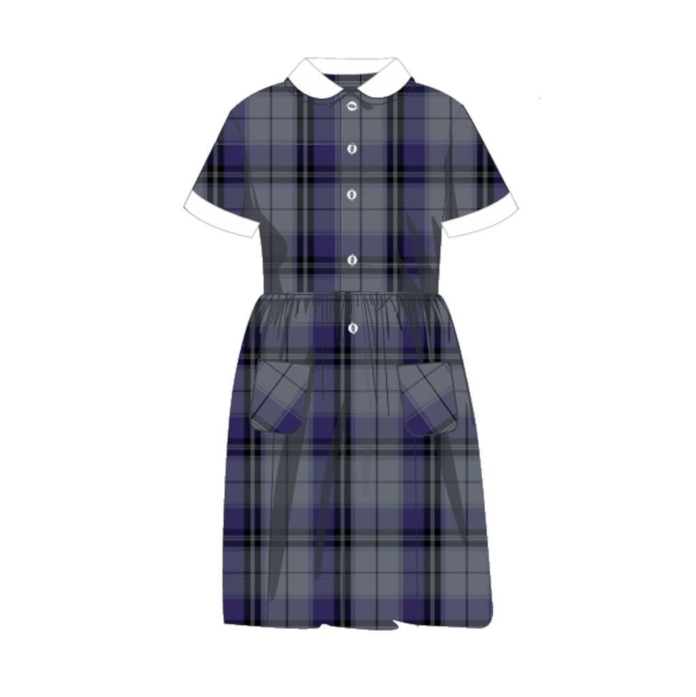 PARKSIDE SCHOOL SUMMER DRESS (REC+) - PRE ORDER