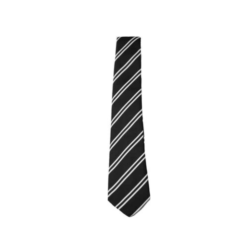 ST PAUL'S SCHOOL TIE